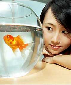 风水鱼缸