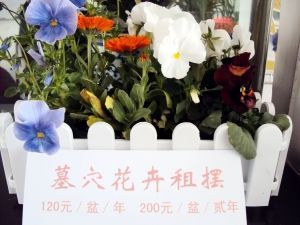 “死有其所”， 要花多少钱？(组图)