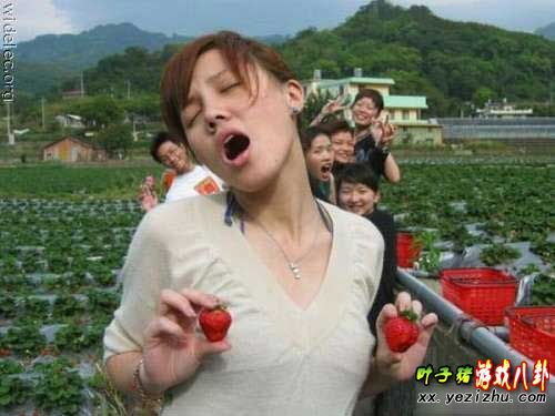 让人欲罢不能的高难度爆笑趣图