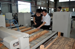 9月20日连天红迎来河南人大常委会副主任储亚平，储副主任参观电脑雕车间
