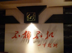 全景