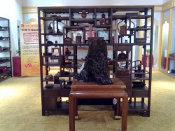 店内局部3