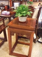 绿色植物