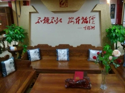 全景