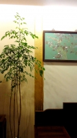 取景1