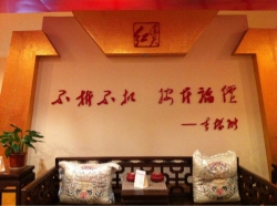 全景