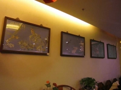 全景