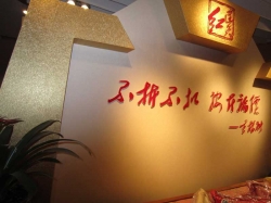 全景
