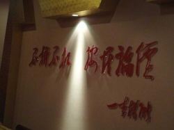 全景