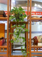 店内局部3