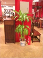 店内局部-3