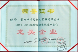 03-302011-2013年度福建省林业产业化龙头企业