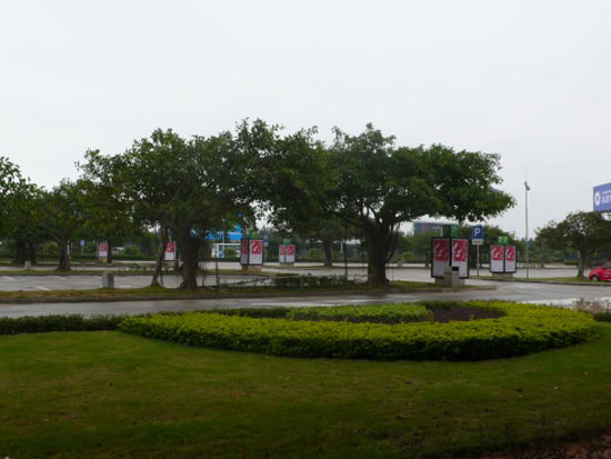 连天红广告强势登陆北京首都国际机场